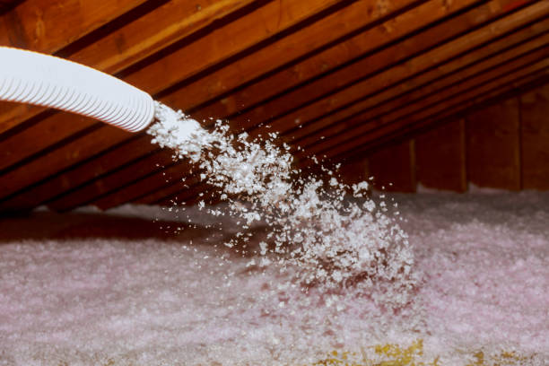 Best Residential Insulation in Bloomingdale, FL