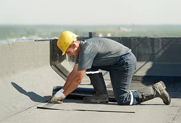 Best Cellulose Insulation in Bloomingdale, FL