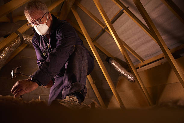Best Cellulose Insulation in Bloomingdale, FL